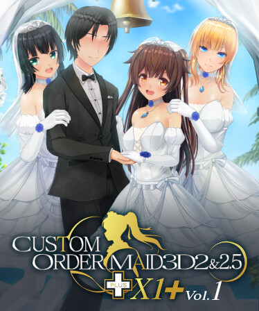 CUSTOM ORDER MAID 3D2&2.5+ X1+Vol.01