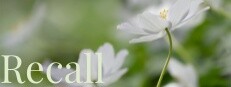 Recall 게임 이미지