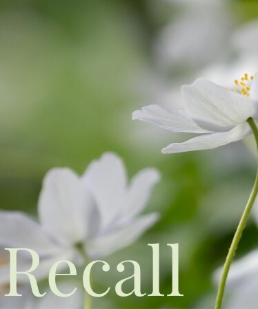 Recall