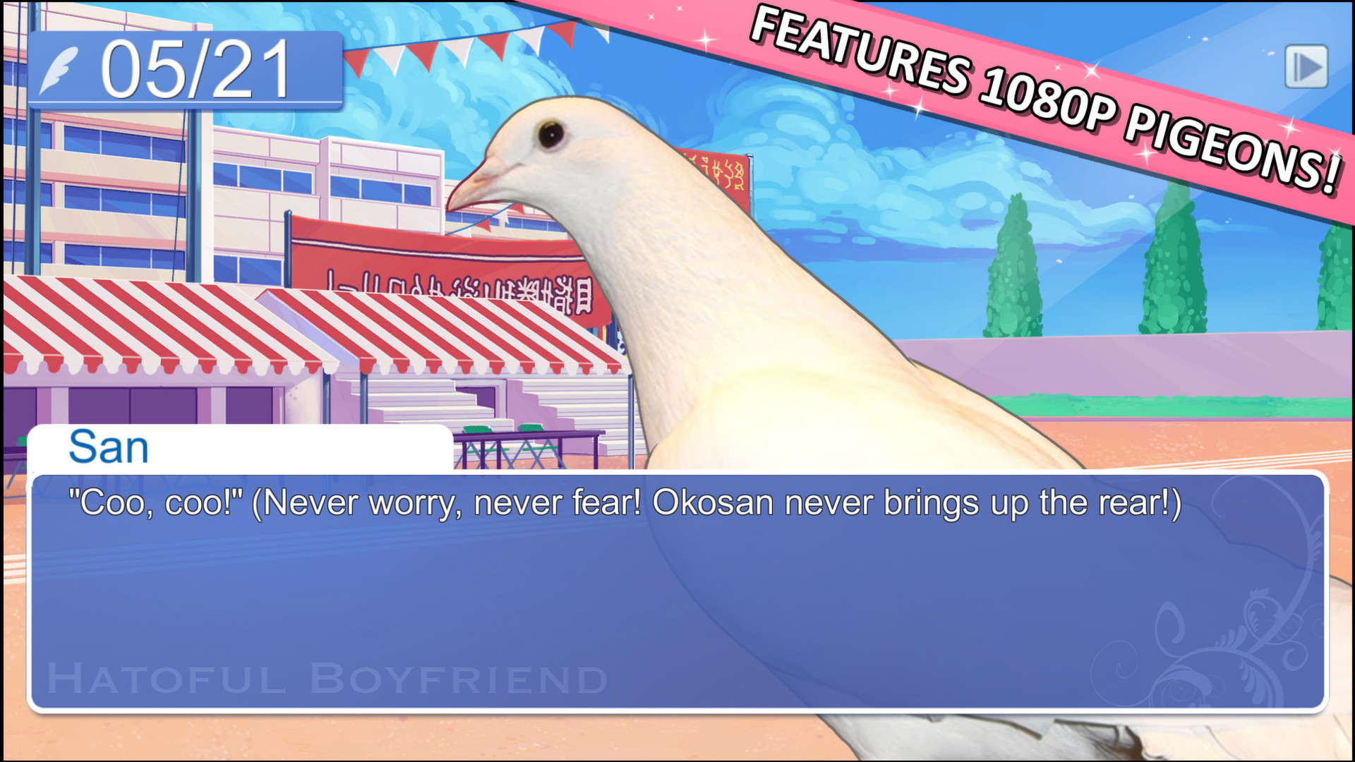 Dating sim pigeon Pigeon Dating