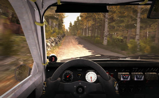 Скриншот №19 к DiRT Rally