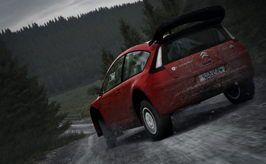 DiRT Rally screenshot