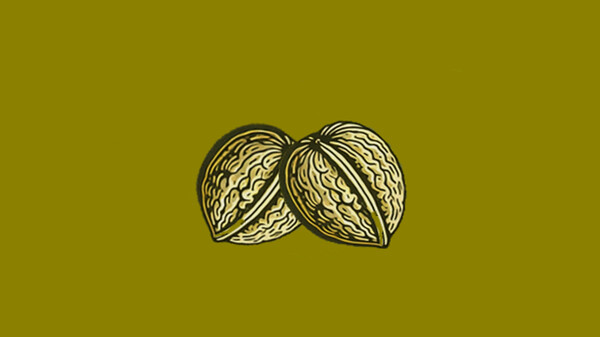 Nuts screenshot