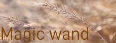 Magic wand 게임 이미지