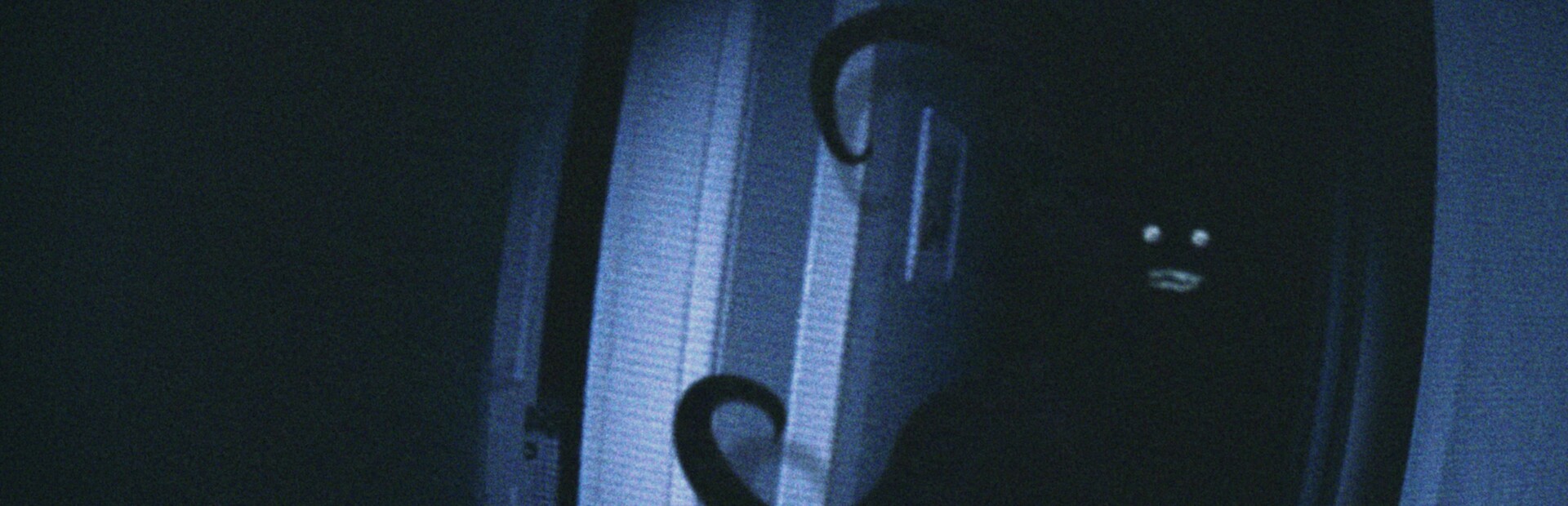 Library Hero - Steam library hero banner