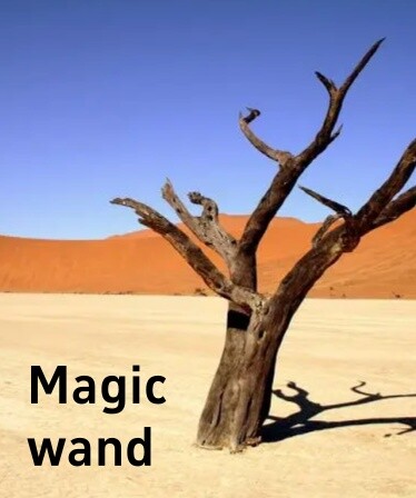 Magic wand