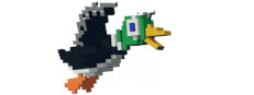 Tiny Duck Hunt 3D