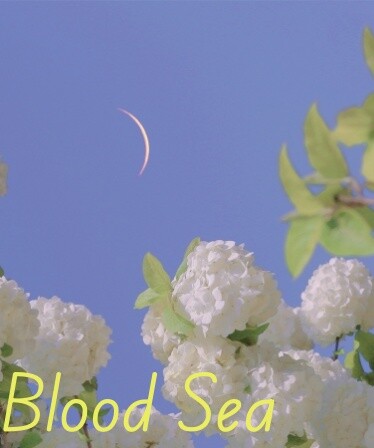 Blood Sea