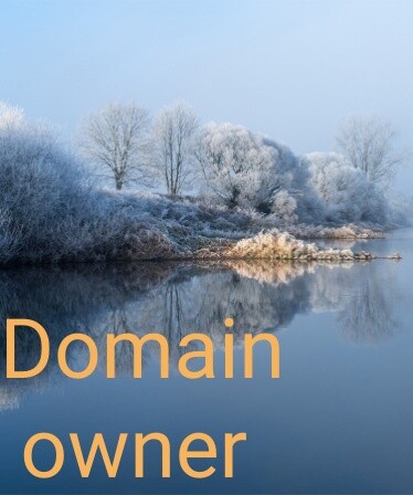 Domain owner
