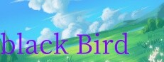 black Bird 게임 이미지