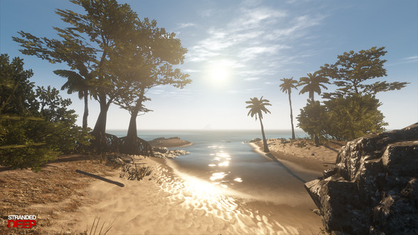 Stranded deep ошибка steam could not be initialized