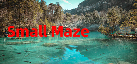 Small Maze banner image