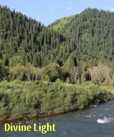 Divine Light