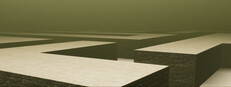 Maze Of Shadows