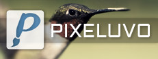 Pixeluvo 게임 이미지
