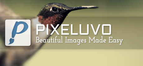 Pixeluvo header image