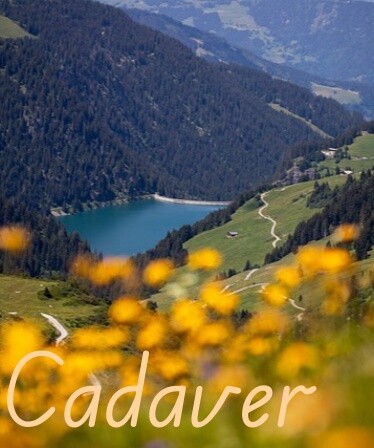 Cadaver