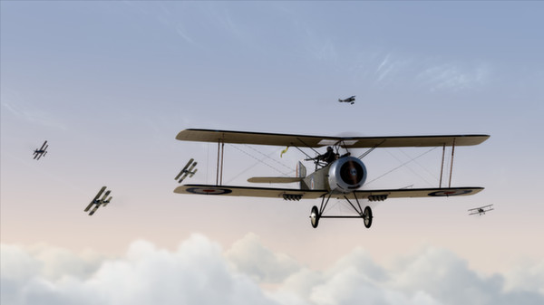 скриншот Rise of Flight: Intrepid Flyers 0