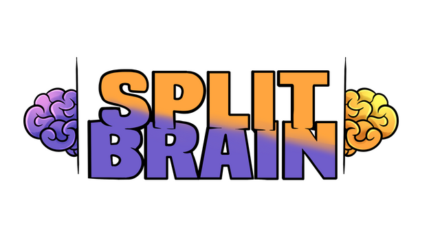 Split Brain