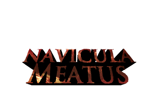 Navicula Meatus