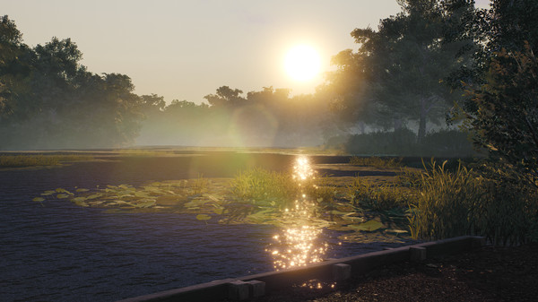Euro Fishing: Lilies for steam Euro Fishing: Lilies for steam