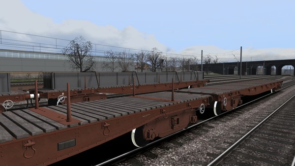 скриншот TS Marketplace: BRV 50T BORAIL EB/EC Wagons Pack 2