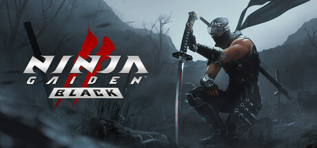 NINJA GAIDEN 2 Black banner