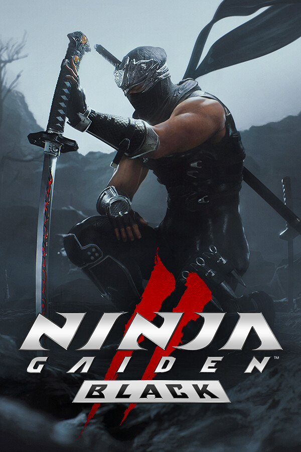 Portada de Ninja Gaiden 2 Black
