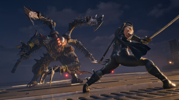 NINJA GAIDEN 2 Black screenshot