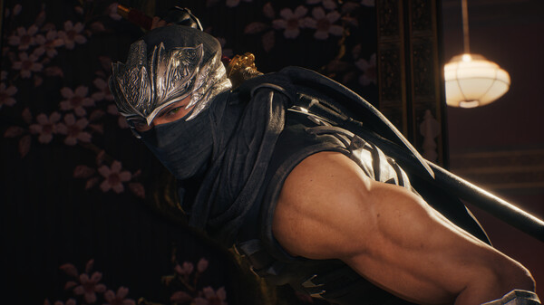 NINJA GAIDEN 2 Black screenshot