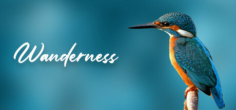 Wanderness banner