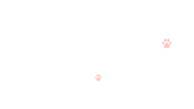 Anxiety Puppy