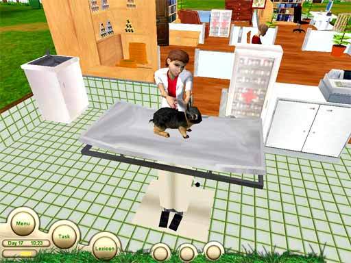Paws & Claws Pet Vet DS Game