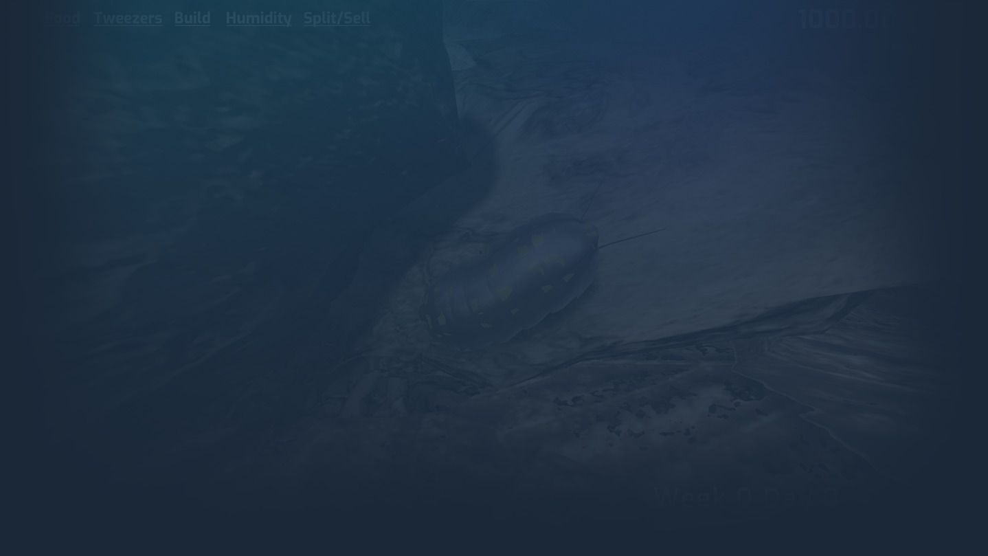 Isopod Keeping Simulator background