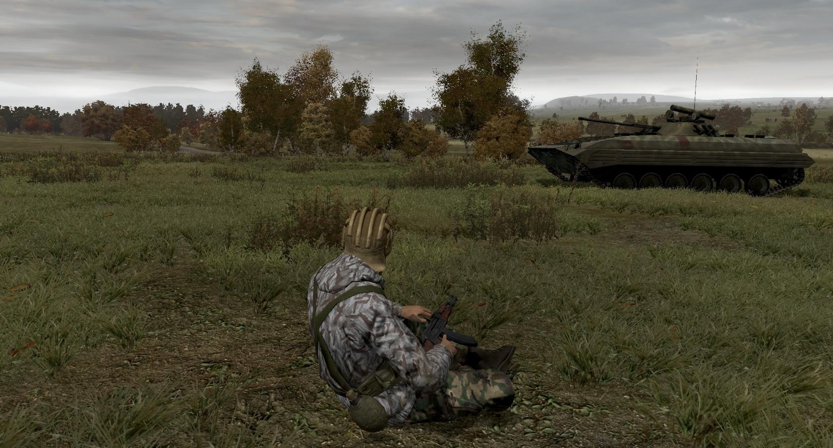 ARMA II