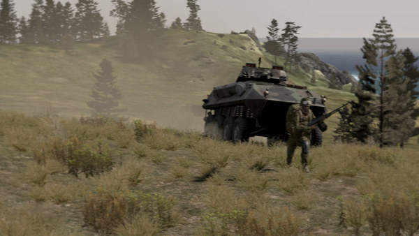 ArmA II скриншот