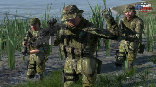 Arma 2: Army of the Czech Republic