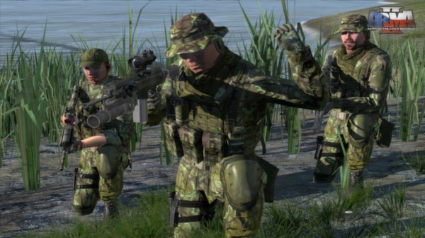 скриншот ARMA II: Army of the Czech Republic 1