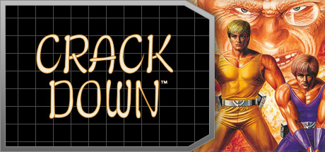 Crack Down™ banner