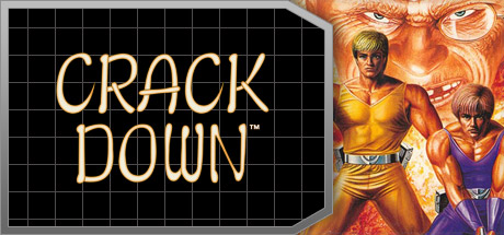 Crack Down™ Cover Image