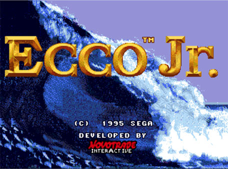 Ecco™ Jr. for steam