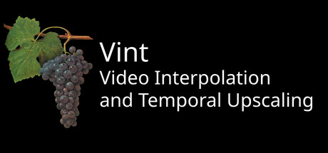 Vint: Realtime Video Interpolation and CRT Emulation banner image
