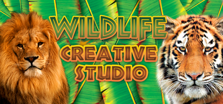 Wildlife Creative Studio steam charts