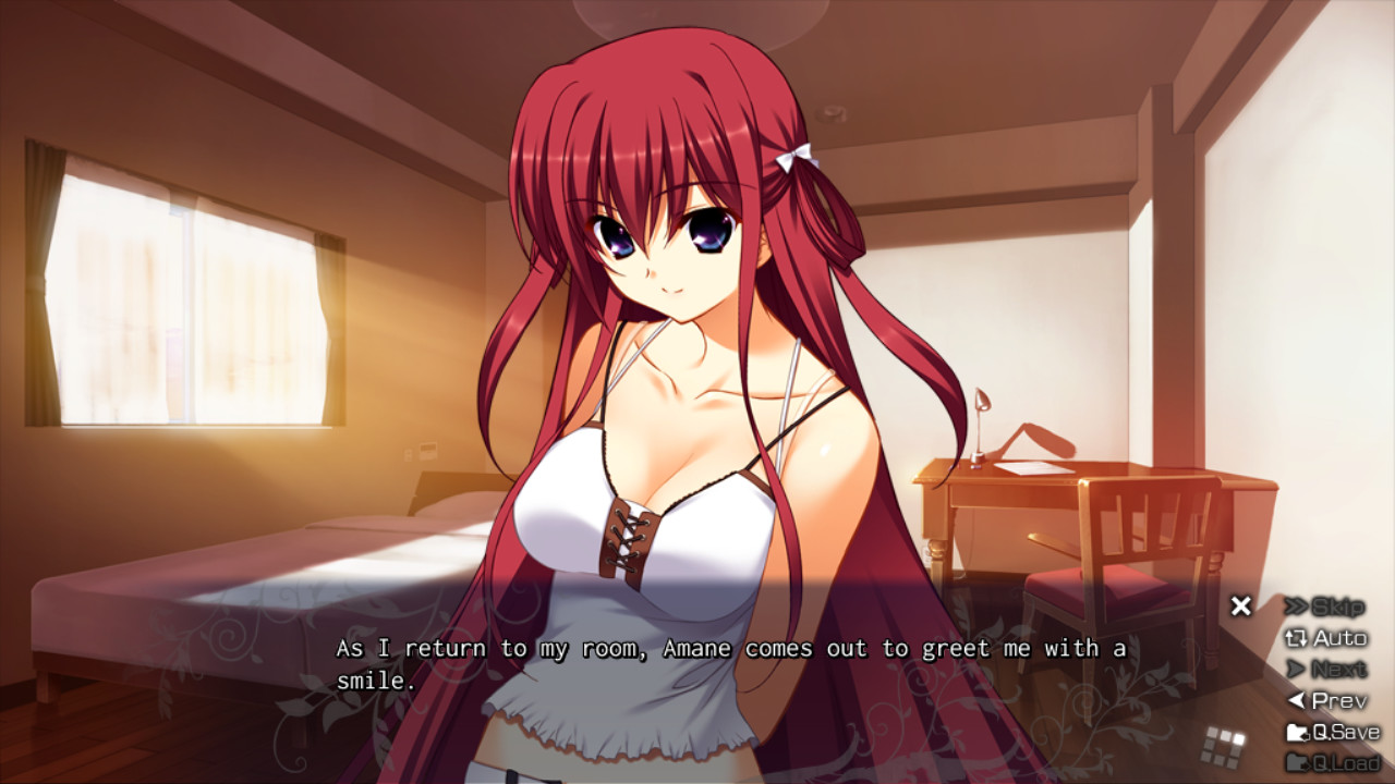 The Labyrinth of Grisaia review - Tech-Gaming