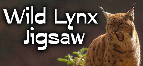 Wild Lynx Jigsaw steam charts
