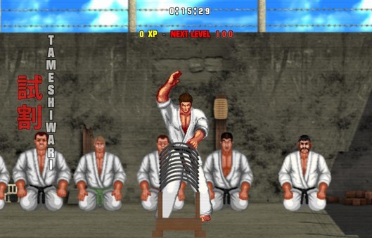 скриншот Karate Master 2 Knock Down Blow 2