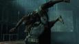 Batman: Arkham Asylum Game of the Year Edition picture1