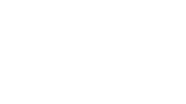 The Silent Age