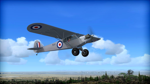 скриншот FSX: Steam Edition - Piper J-3 Cub Add-On 0