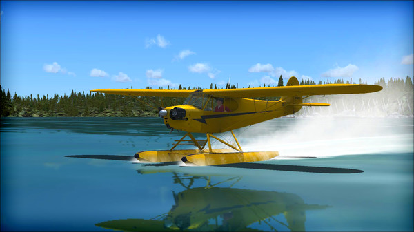 скриншот FSX: Steam Edition - Piper J-3 Cub Add-On 4